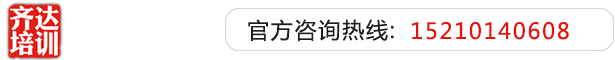 操老妣老片齐达艺考文化课-艺术生文化课,艺术类文化课,艺考生文化课logo